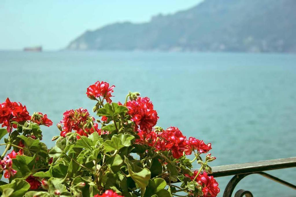B&B Fronte Del Mare Σαλέρνο Εξωτερικό φωτογραφία